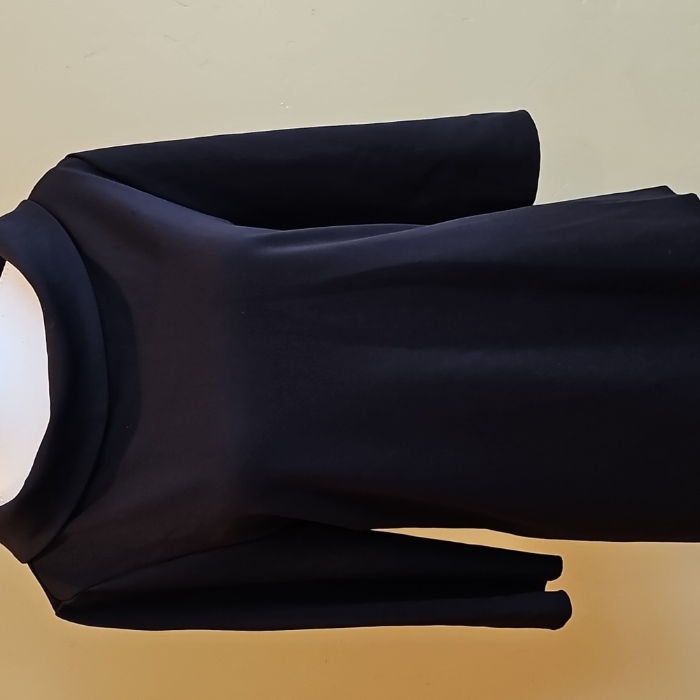 Large Alfani Top